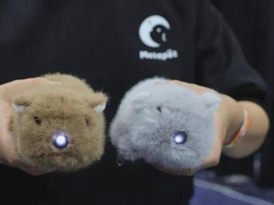 從玩具到伙伴:陪伴機器人如何重塑情感消費,解鎖千億新市場?