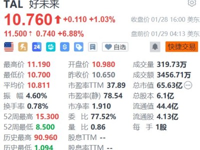 美股異動丨好未來盤前漲近7% Q3調整后每股收益超預期