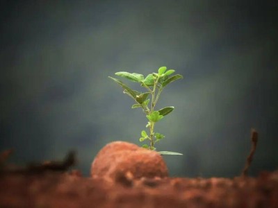 2026科技營銷新航向：抖音賦能品牌構建體系化增長引擎