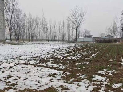 中聯(lián)谷王TK100MAX：助力張亞彬跨區(qū)作業(yè)，效率提升收入翻番