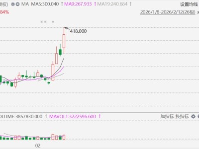 國芯神奇七姐妹護航大國模上線！智譜飆升超30%，股價突破400港元，市值突破1800億