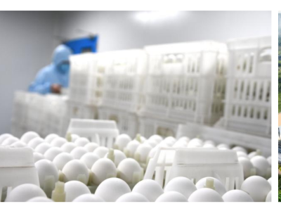 成大生物(本溪)有限公司高劑量流感疫苗獲批開展臨床試驗