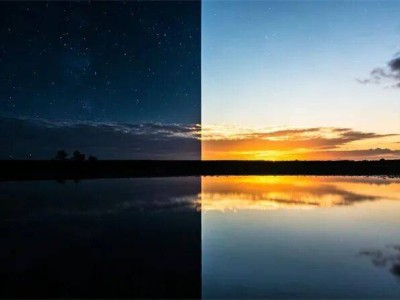 2026年1月車市遇冷 合資車企逆境中展現更強抗壓力?