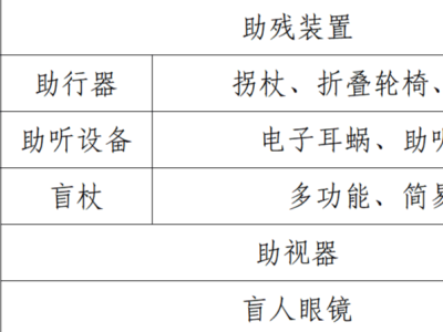 馬年新春暢行江城！武漢無障礙出行全攻略，飛機火車地鐵景區一路無憂