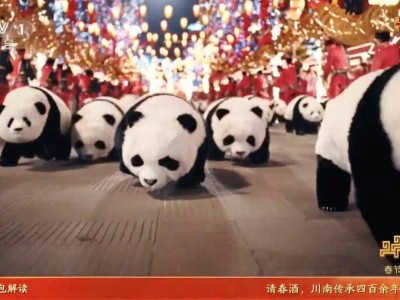 春晚舞臺上的“魔法時刻”:具身智能落地,機器人開啟真實服務新篇