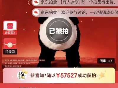 春晚機器人成新寵:“仿生蔡明”贈真身,“熊貓款”高價落槌引熱議