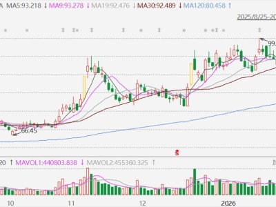A股異動(dòng)丨遭遇利空？中國(guó)中免跌停