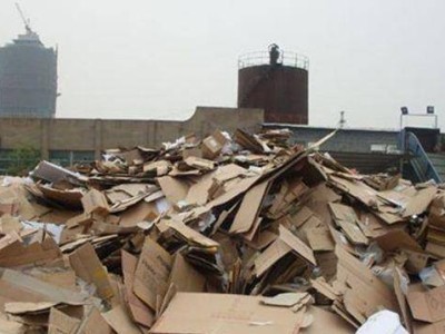 廢紙堆里掘金夢:張茵從香港到美國,用堅韌書寫商業(yè)傳奇