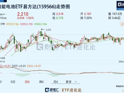 碳酸鋰期貨大漲+1月新型儲能新增裝機同比翻倍，儲能電池ETF易方達(159566)標(biāo)的指數(shù)上漲1.63%