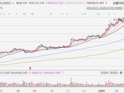 港股異動丨希慎興業績后收跌近7%，2025年營業額僅增1.6%