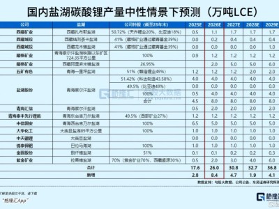 碳酸鋰新一輪漲價潮來了
