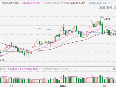 甲醇主力合約漲停
