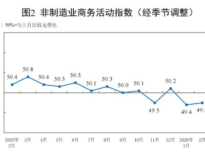 中國2月非制造業(yè)PMI為49.5 低于預期