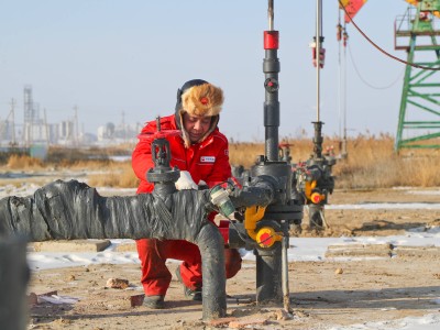 大慶油田：以硬核擔(dān)當(dāng)筑牢能源安全基石 奮進(jìn)百年新征程再創(chuàng)新榮光