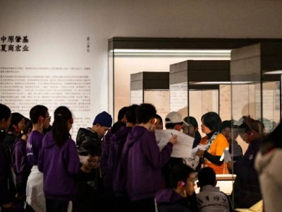 春節(jié)堅(jiān)守清華藝博，郭冬梅：用熱愛與責(zé)任守護(hù)觀眾觀展體驗(yàn)