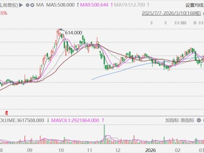 港股異動丨寧德時代大漲近10%，業績大超預期