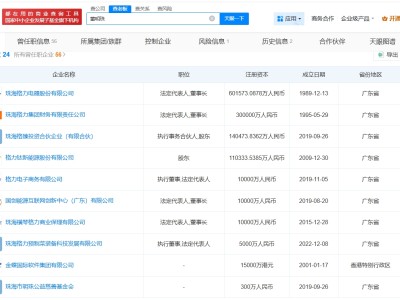 董明珠名下關聯超20家企業