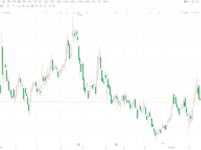 A股異動(dòng)丨立昂技術(shù)跌逾5% 董事葛良娣累計(jì)減持60萬股
