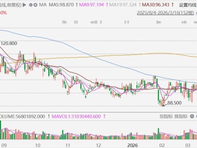 港股異動丨比亞迪股份大漲超8%，據報獲10萬輛車大單