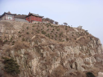 青綠之間見初心：張耀南用一生為泰山織就生態錦繡畫卷