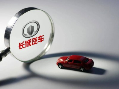 長城汽車提前布局顯成效 歐拉閃電貓成中高端純電市場“實力擔當”