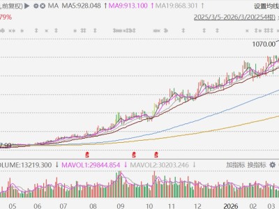 A股再現千元股：CPO人氣王源杰科技股價破千，1年狂飆近7倍