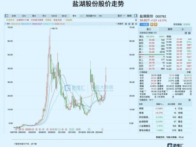 股價一年狂飆,鋰鹽巨頭仍被低估?