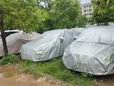 買車只為“一年兩箱油”？聽打工青年與城市白領(lǐng)講述真實(shí)購車心聲