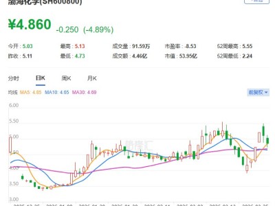 A股異動 | 渤海化學跌近5% 2025年凈虧損6.46億元