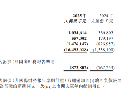 壁仞科技2025年?duì)I收毛利雙增 研發(fā)投入加碼 智算集群項(xiàng)目落地多領(lǐng)域