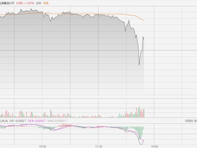 石油基金LOF跳水跌超2%