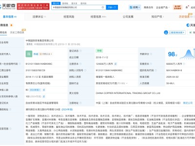 中銅國(guó)際貿(mào)易集團(tuán)增資至12.4億 增幅約107%