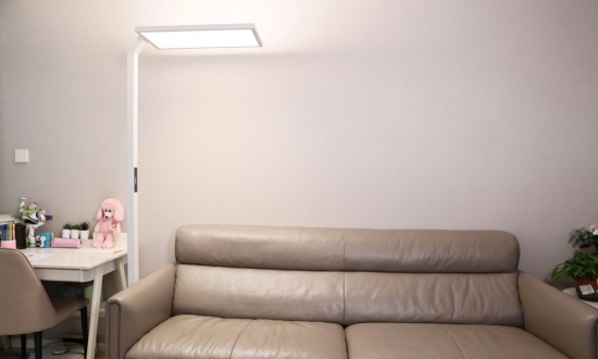 房間的沙發上 中度可信度描述已自動生成