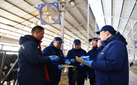 蒙牛派駐技術團隊開展駐場服務  圖源：蒙牛乳業